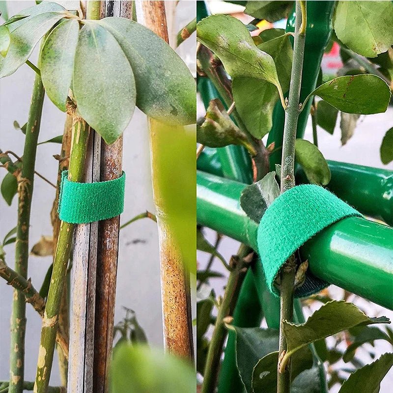 Groene tuinkoord plantenbinders - Nylon plantenverband- Tuinhaak - Bivakshop