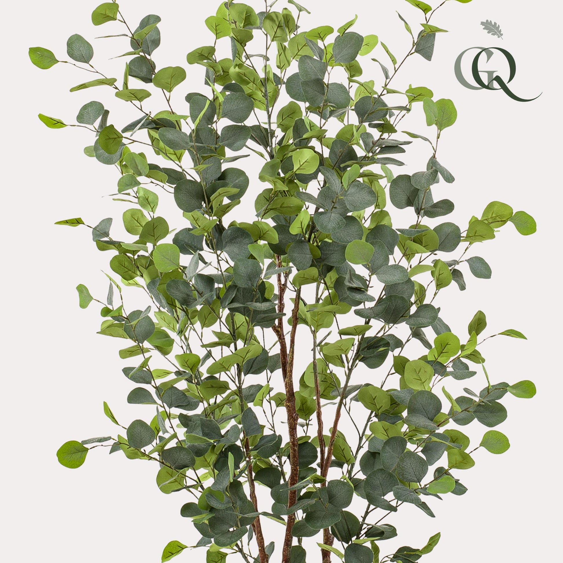 Kunstplant - Eucalyptus - Blauwe gomboom - Bivakshop