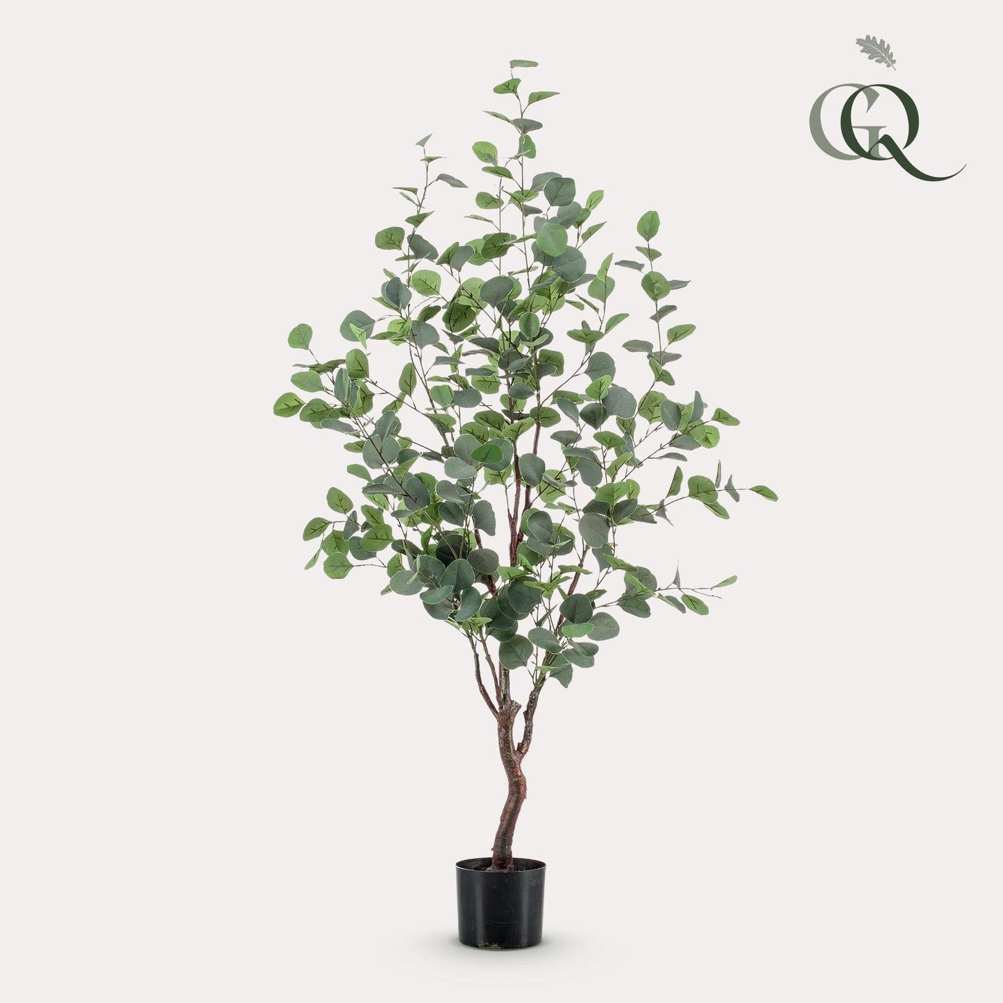 Kunstplant - Eucalyptus - Blauwe gomboom - Bivakshop