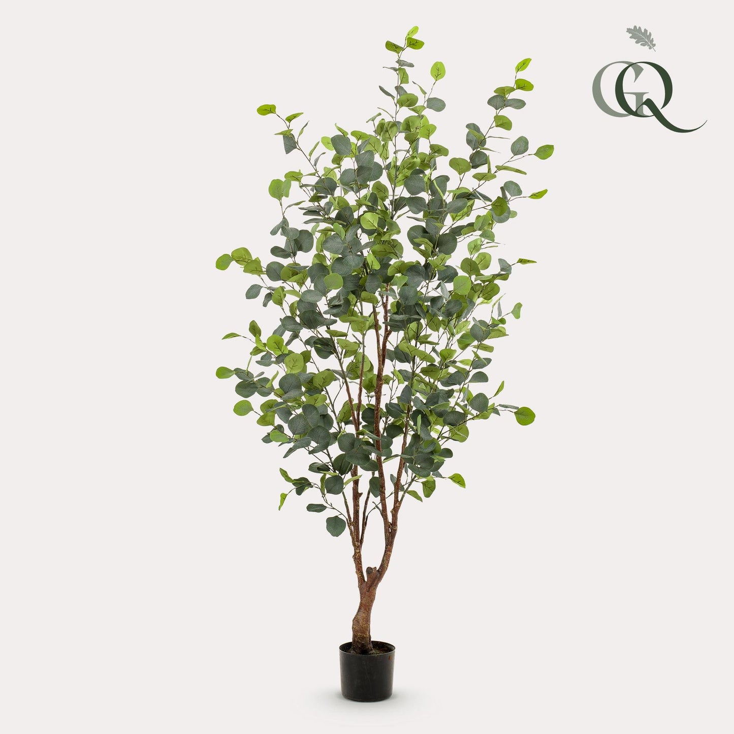 Kunstplant - Eucalyptus - Blauwe gomboom - Bivakshop