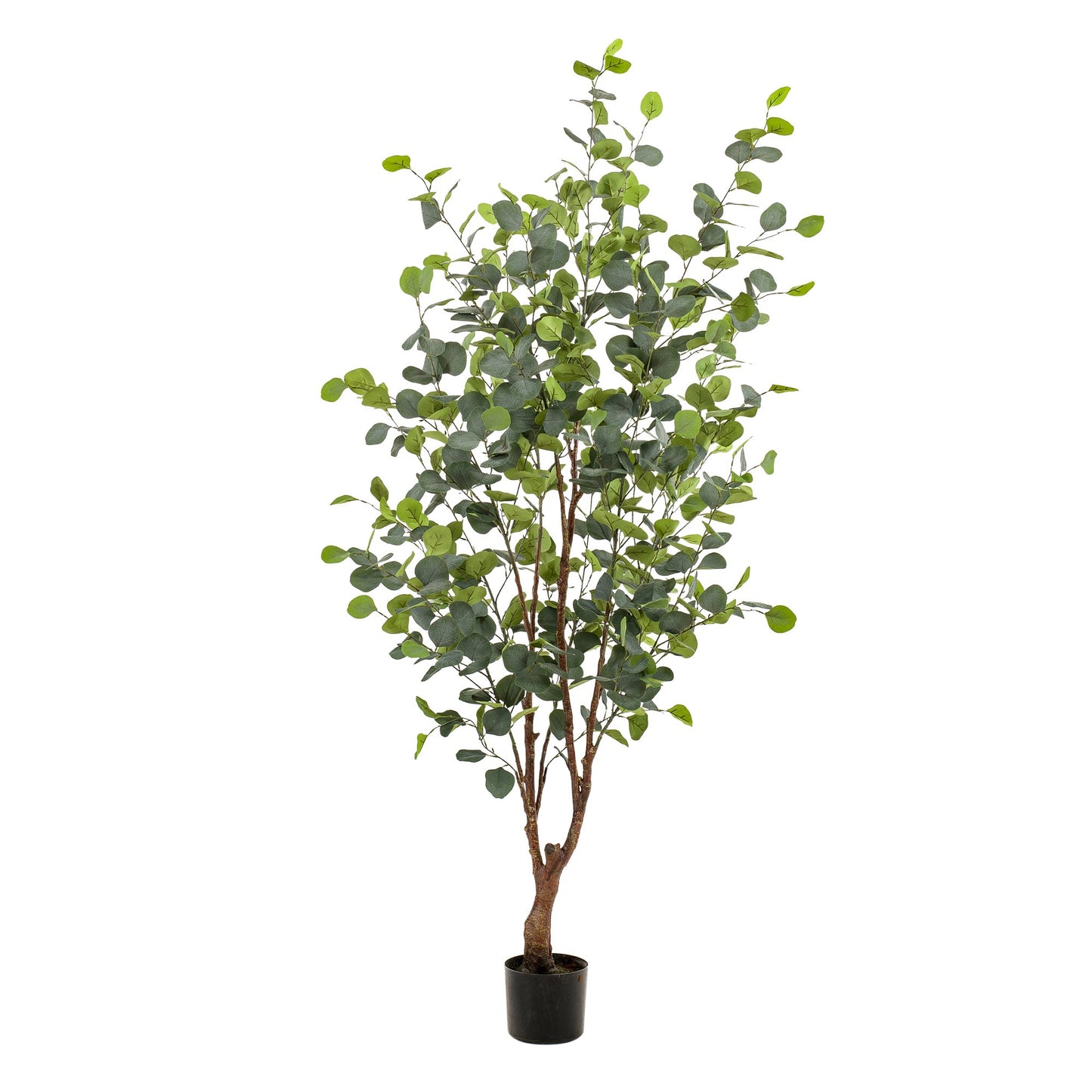 Kunstplant - Eucalyptus - Blauwe gomboom - Bivakshop