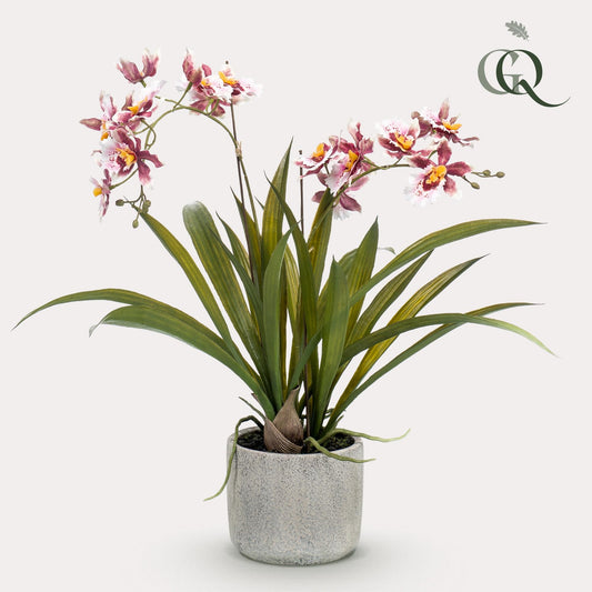 Kunstplant - Orchidee - Bordeaux - 45 cm - Bivakshop