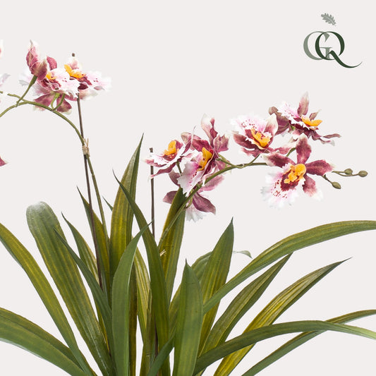 Kunstplant - Orchidee - Bordeaux - 45 cm - Bivakshop