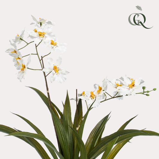 Kunstplant - Orchidee - Wit - 45 cm - Bivakshop