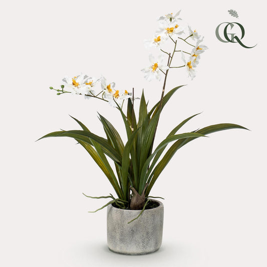 Kunstplant - Orchidee - Wit - 45 cm - Bivakshop